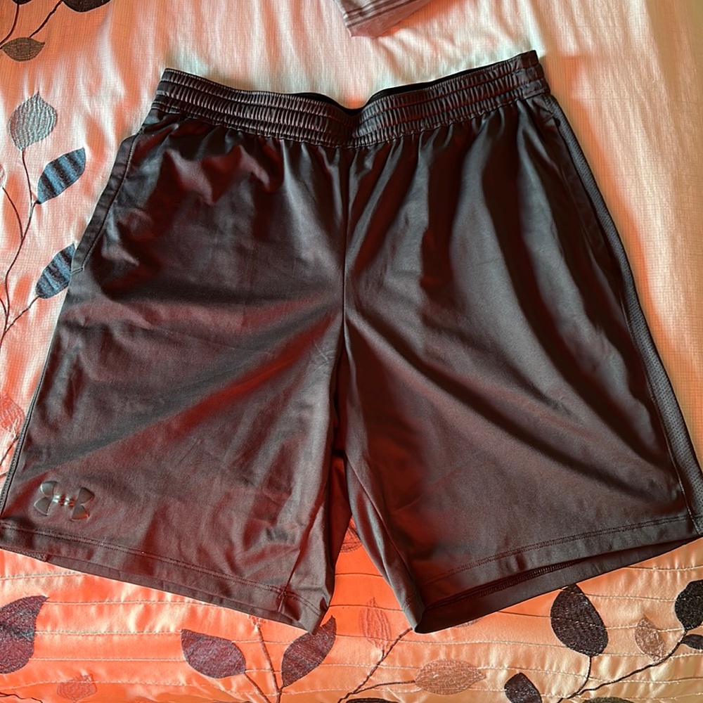 Under Armour Shorts Dark Grey